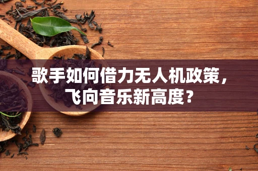 歌手如何借力无人机政策，飞向音乐新高度？