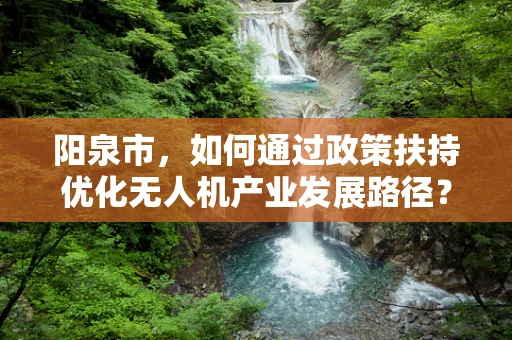 阳泉市，如何通过政策扶持优化无人机产业发展路径？