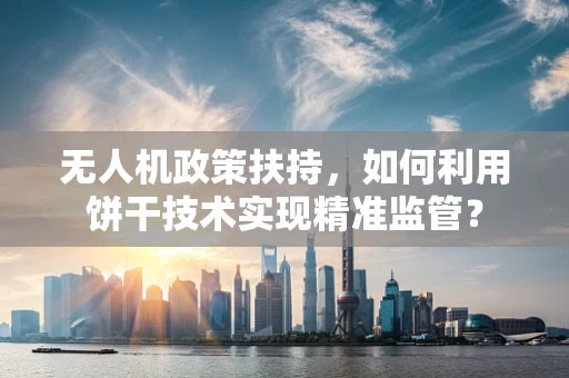 无人机政策扶持，如何利用饼干技术实现精准监管？