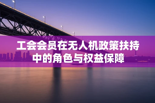 工会会员在无人机政策扶持中的角色与权益保障