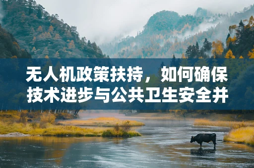 无人机政策扶持，如何确保技术进步与公共卫生安全并重？