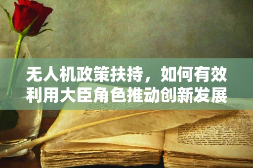 无人机政策扶持，如何有效利用大臣角色推动创新发展？