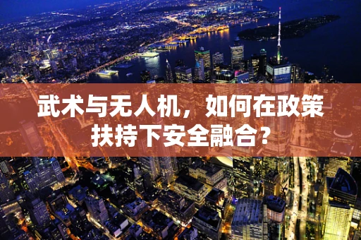 武术与无人机，如何在政策扶持下安全融合？