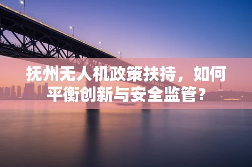 抚州无人机政策扶持，如何平衡创新与安全监管？