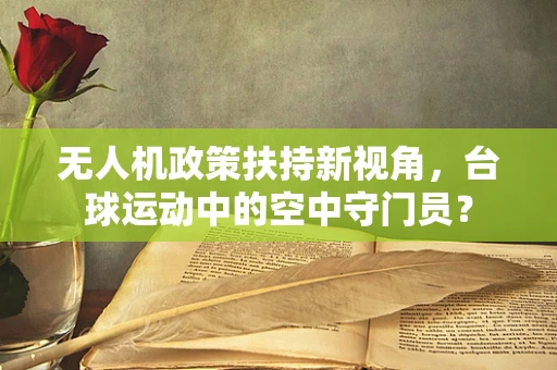 无人机政策扶持新视角，台球运动中的空中守门员？