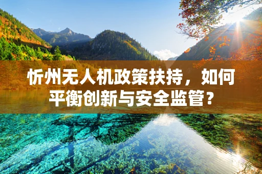 忻州无人机政策扶持，如何平衡创新与安全监管？