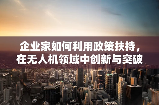 企业家如何利用政策扶持，在无人机领域中创新与突破？