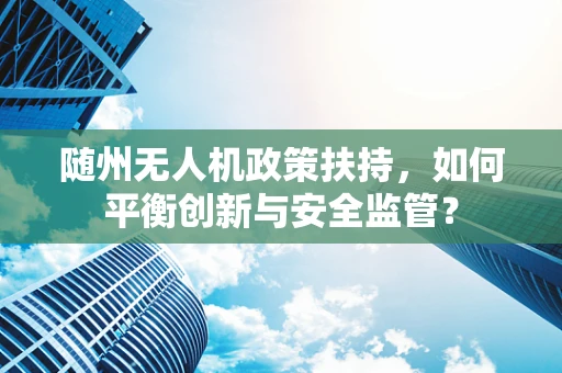随州无人机政策扶持，如何平衡创新与安全监管？