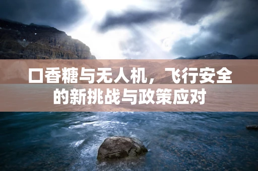 口香糖与无人机，飞行安全的新挑战与政策应对