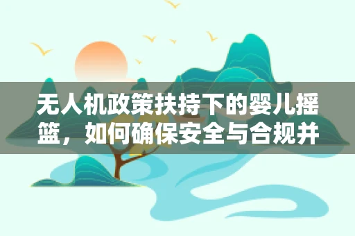 无人机政策扶持下的婴儿摇篮，如何确保安全与合规并进？