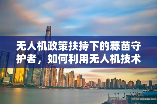 无人机政策扶持下的蒜苗守护者，如何利用无人机技术促进蒜苗种植的精准化管理？