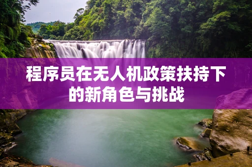 程序员在无人机政策扶持下的新角色与挑战