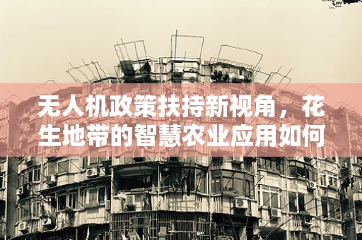 无人机政策扶持新视角，花生地带的智慧农业应用如何被扶上云霄？