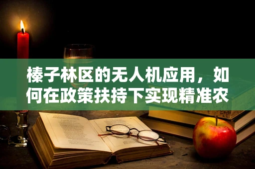 榛子林区的无人机应用，如何在政策扶持下实现精准农业的飞跃？