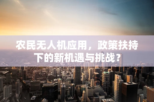 农民无人机应用，政策扶持下的新机遇与挑战？