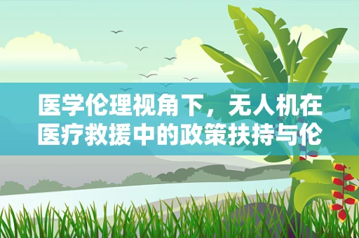 医学伦理视角下，无人机在医疗救援中的政策扶持与伦理边界