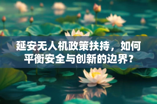 延安无人机政策扶持，如何平衡安全与创新的边界？