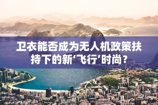 卫衣能否成为无人机政策扶持下的新‘飞行’时尚？