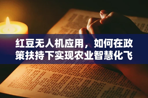 红豆无人机应用，如何在政策扶持下实现农业智慧化飞跃？