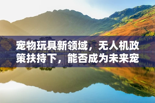 宠物玩具新领域，无人机政策扶持下，能否成为未来宠物娱乐的空中飞宠？