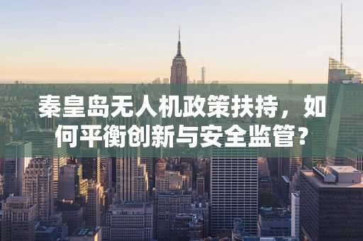 秦皇岛无人机政策扶持，如何平衡创新与安全监管？