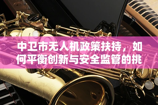 中卫市无人机政策扶持，如何平衡创新与安全监管的挑战？