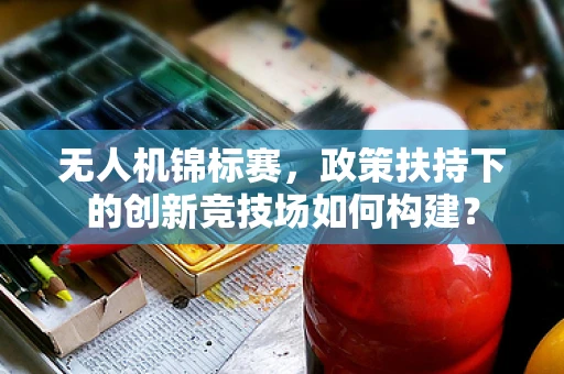 无人机锦标赛，政策扶持下的创新竞技场如何构建？