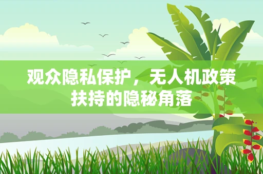 观众隐私保护，无人机政策扶持的隐秘角落