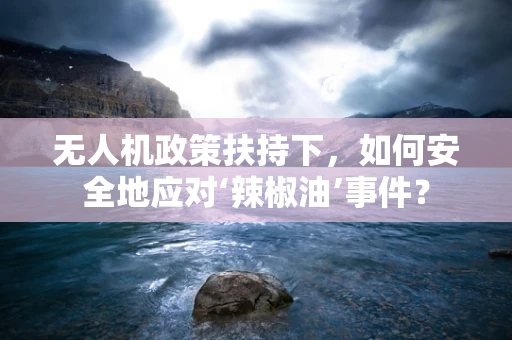 无人机政策扶持下，如何安全地应对‘辣椒油’事件？