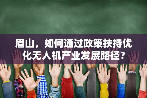 眉山，如何通过政策扶持优化无人机产业发展路径？