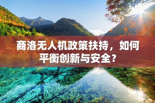 商洛无人机政策扶持，如何平衡创新与安全？