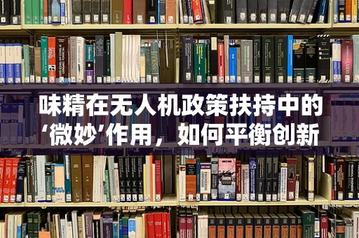 味精在无人机政策扶持中的‘微妙’作用，如何平衡创新与安全？