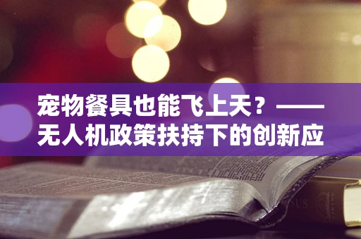 宠物餐具也能飞上天？——无人机政策扶持下的创新应用