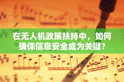 在无人机政策扶持中，如何确保信息安全成为关键？