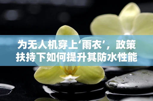 为无人机穿上‘雨衣’，政策扶持下如何提升其防水性能？