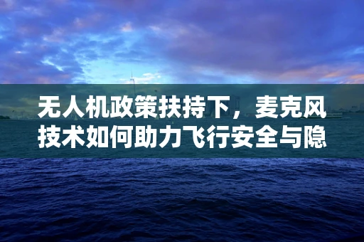 无人机政策扶持下，麦克风技术如何助力飞行安全与隐私保护？