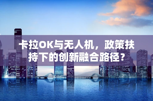 卡拉OK与无人机，政策扶持下的创新融合路径？