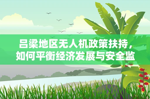 吕梁地区无人机政策扶持，如何平衡经济发展与安全监管？