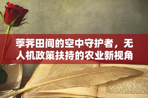 荸荠田间的空中守护者，无人机政策扶持的农业新视角？