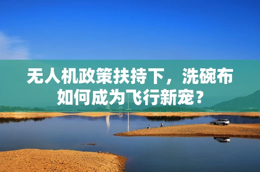无人机政策扶持下，洗碗布如何成为飞行新宠？