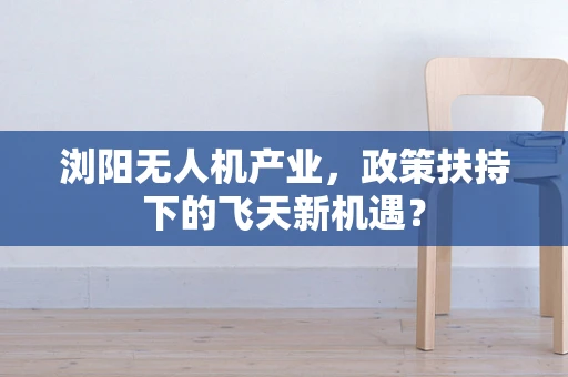 浏阳无人机产业，政策扶持下的飞天新机遇？