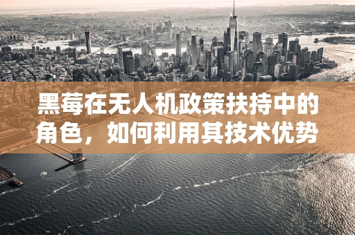黑莓在无人机政策扶持中的角色，如何利用其技术优势促进安全监管？