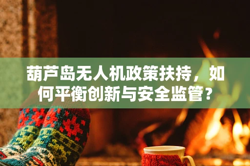 葫芦岛无人机政策扶持，如何平衡创新与安全监管？