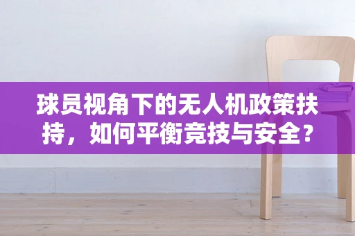 球员视角下的无人机政策扶持，如何平衡竞技与安全？