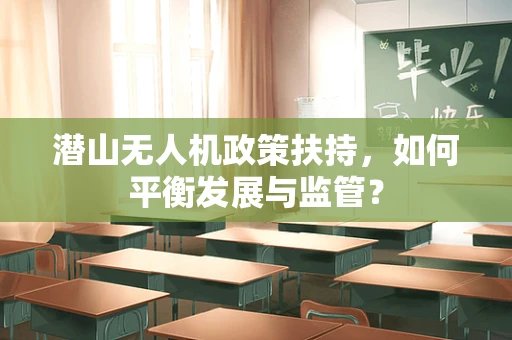 潜山无人机政策扶持，如何平衡发展与监管？