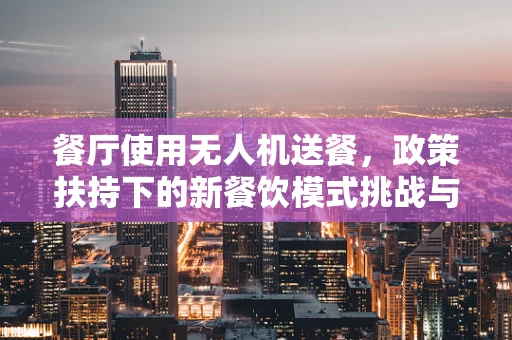 餐厅使用无人机送餐，政策扶持下的新餐饮模式挑战与机遇？