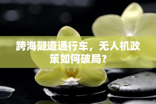 跨海隧道通行车，无人机政策如何破局？
