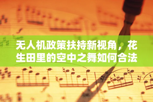 无人机政策扶持新视角，花生田里的空中之舞如何合法起舞？