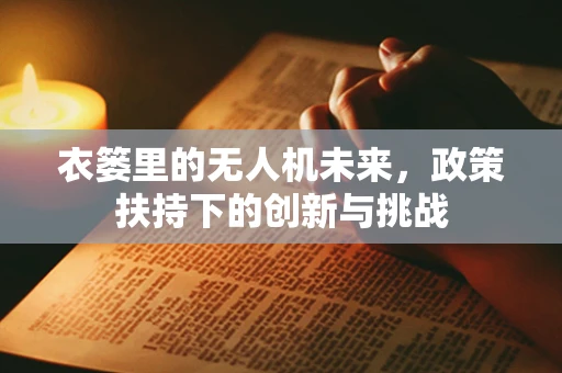 衣篓里的无人机未来，政策扶持下的创新与挑战