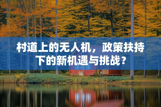 村道上的无人机，政策扶持下的新机遇与挑战？